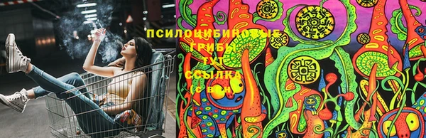 альфа пвп Нязепетровск