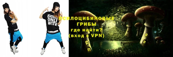 ALPHA PVP Няндома