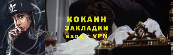 ALPHA PVP Няндома
