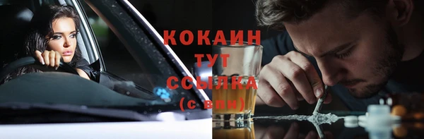 ALPHA PVP Няндома