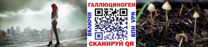 Псилоцибиновые грибы прущие грибы  Чкаловск 