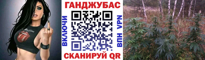 даркнет наркотические препараты  купить закладку  Чкаловск  Бошки Шишки план 